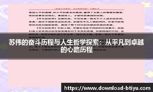 b体育